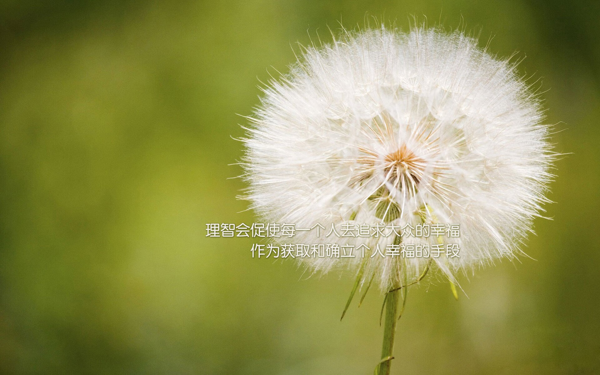 开云官网-“法甲焦点冲突：明星对决，场面精彩！”，法甲对标