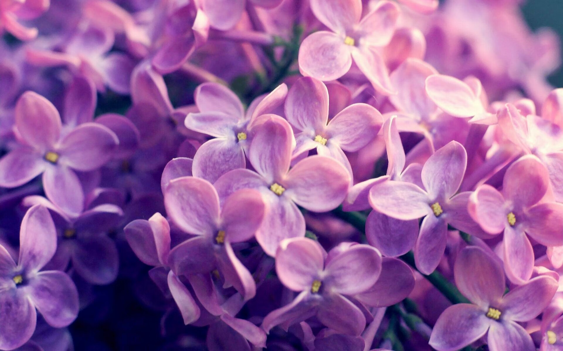 开云体育移动版-全国青训“超级联赛”盛大开启,推动青少年成长新跃迁,全国青年联赛田径